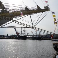 Delfsail 2024