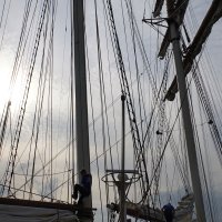 Delfsail 2024