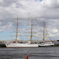 Delfsail 2024