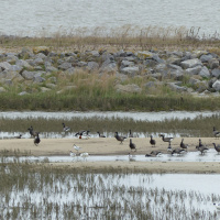 Fantastisch mooie plek