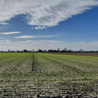 lijnen in de Oostpolder