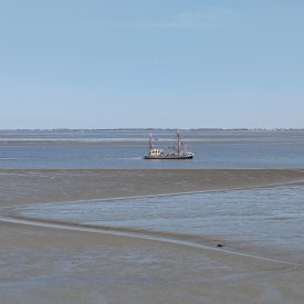 Vissersboot op de Eems
