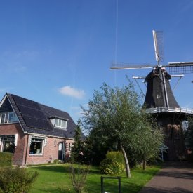 Stormvogel Loppersum