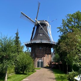 molen in Loppersum