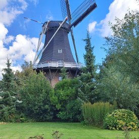 molen vanaf toentje