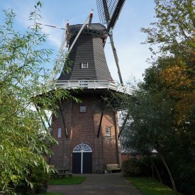 Mooi in het licht