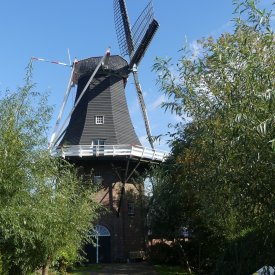 molen Loppersum