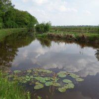 fototocht Smeerling