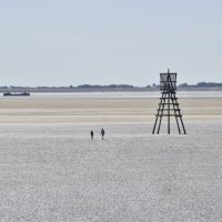 Wat van het Wad