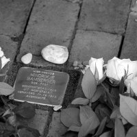 DSC_0033 (2).JPG
