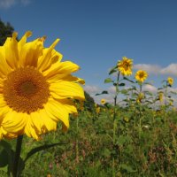 IMG_6927.jpg