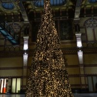 Kerstboom stationshal