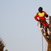 DSC_0021.JPG