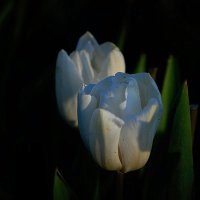 DSC_0004.JPG