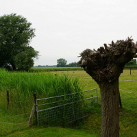 uitzicht vanuit onze tuin