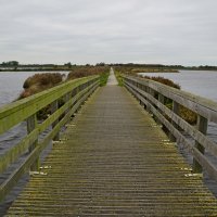 wandelen in 't Roegwold