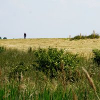 wandelpad over de dijk bij Polen