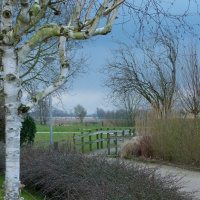 Mysterieus bruggetje